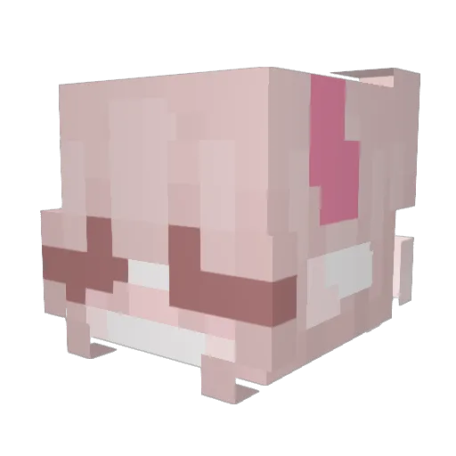 SigmaMelon_ Minecraft avatar head, 3D render