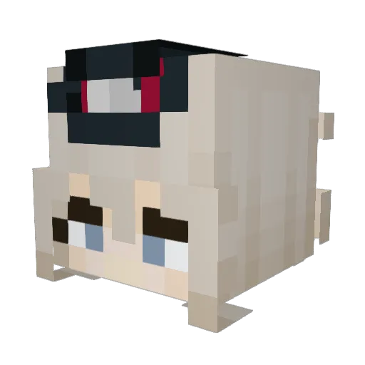 SigmaSupreme69 Minecraft avatar head, 3D render