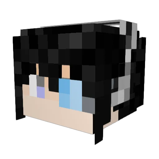 Sigma_81 Minecraft avatar head, 3D render