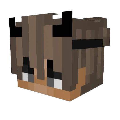 Sigmaboy1 Minecraft avatar head, 3D render