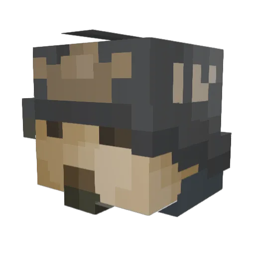Sigmar252 Minecraft avatar head, 3D render