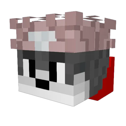 Sigmawolf66 Minecraft avatar head, 3D render