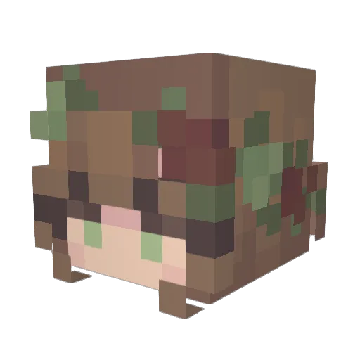 SignaLost2605 Minecraft avatar head, 3D render