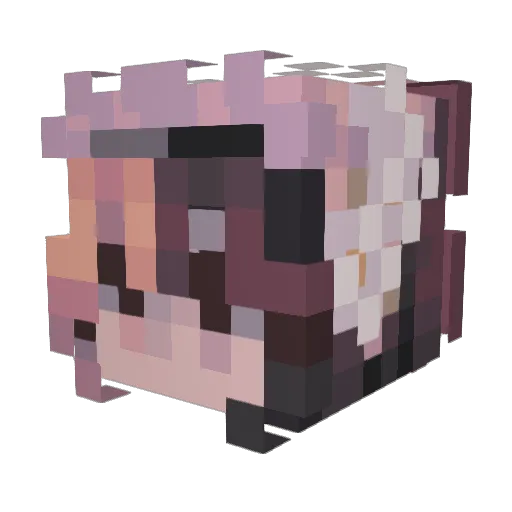 Signalsquid Minecraft avatar head, 3D render