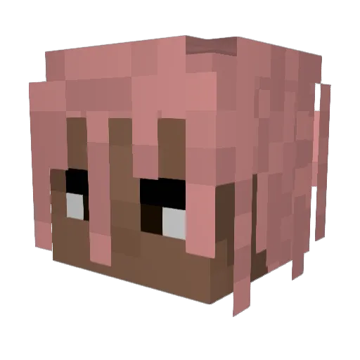Signatures Minecraft avatar head, 3D render