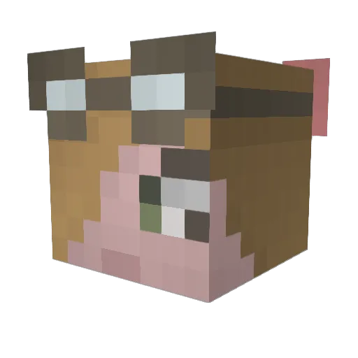 Signe0123 Minecraft avatar head, 3D render