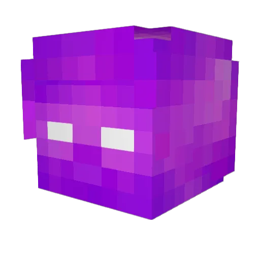 SignedCoder9048 Minecraft avatar head, 3D render