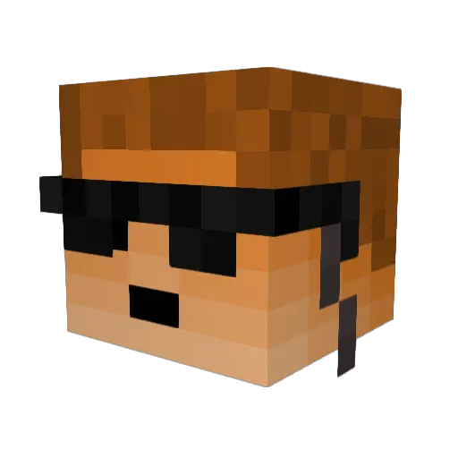 SignedNick Minecraft avatar head, 3D render