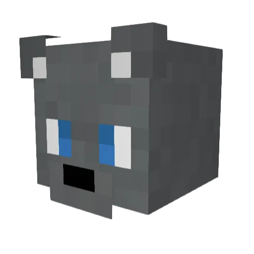 Signis_Akanades Minecraft avatar head, 3D render