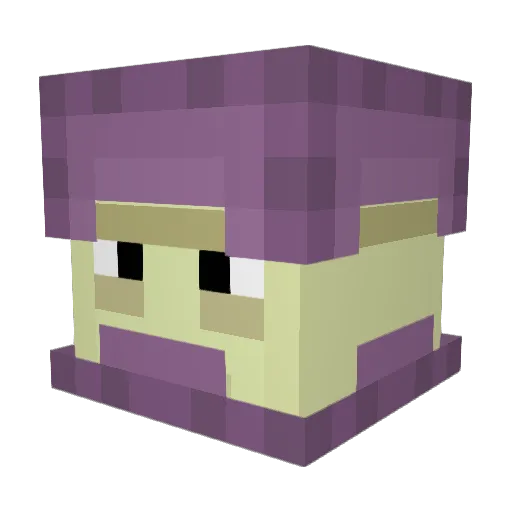 Signor6060 Minecraft avatar head, 3D render