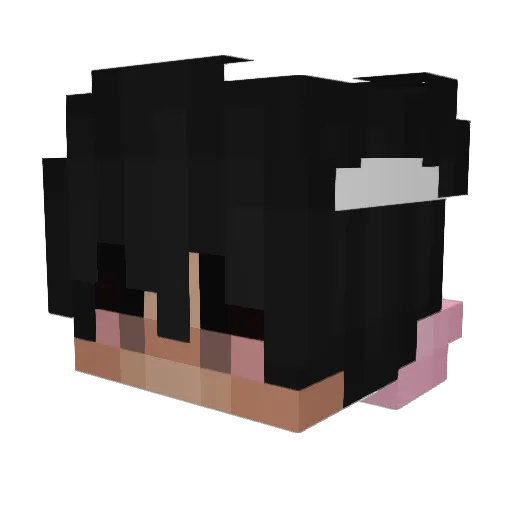 Signore_ Minecraft avatar head, 3D render