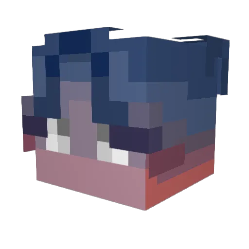 SignsOfSolace Minecraft avatar head, 3D render