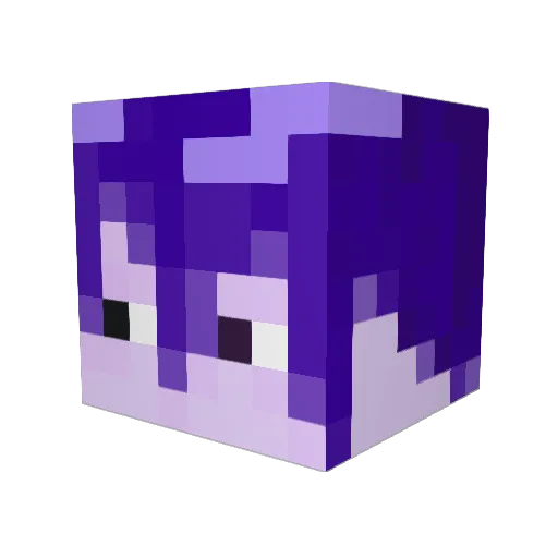 Sigu_AyA Minecraft avatar head, 3D render
