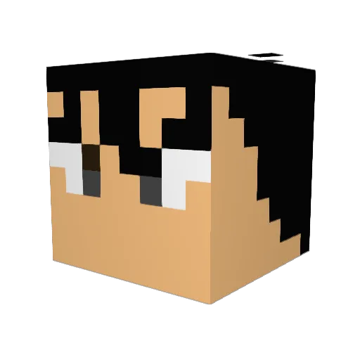 Sigurd1029 Minecraft avatar head, 3D render