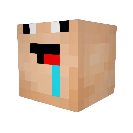 Sigve17 Minecraft avatar head, 3D render