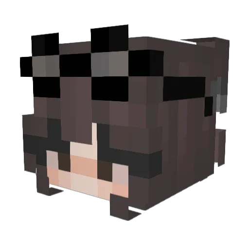 Siider Minecraft avatar head, 3D render