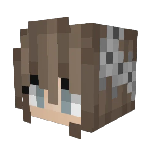 SiilverFox Minecraft avatar head, 3D render