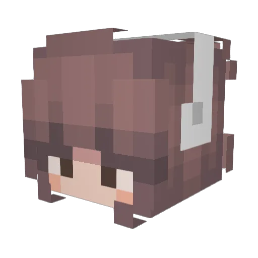 Siinkey Minecraft avatar head, 3D render