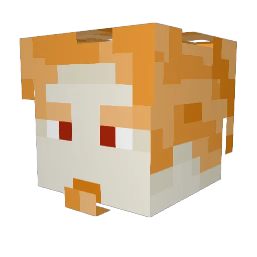 Sikalus Minecraft avatar head, 3D render