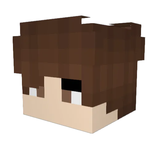 Sikeadelic Minecraft avatar head, 3D render
