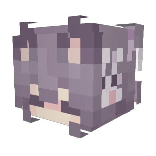 Sil3nce124 Minecraft avatar head, 3D render