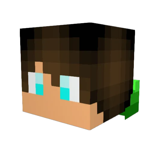 Sil3nt_D3ath Minecraft avatar head, 3D render