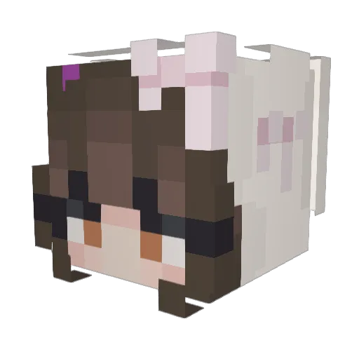Sila84 Minecraft avatar head, 3D render