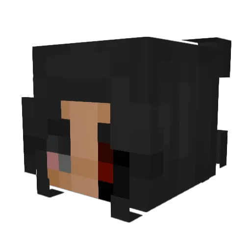 Sila_vie Minecraft avatar head, 3D render