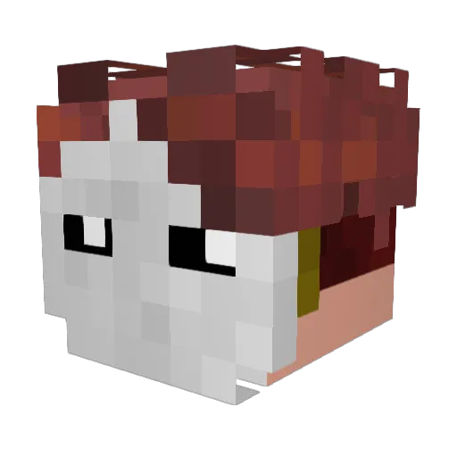 Silamav Minecraft avatar head, 3D render