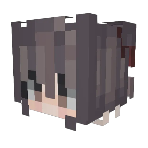 Silas0604 Minecraft avatar head, 3D render