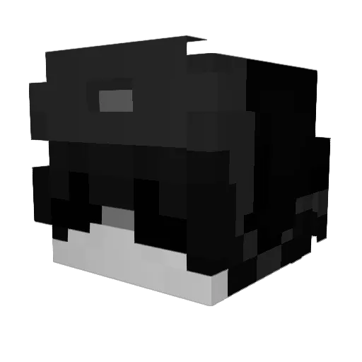Silas0_o Minecraft avatar head, 3D render