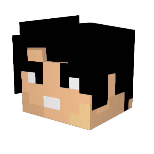 Silas1822 Minecraft avatar head, 3D render