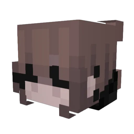Silas225 Minecraft avatar head, 3D render