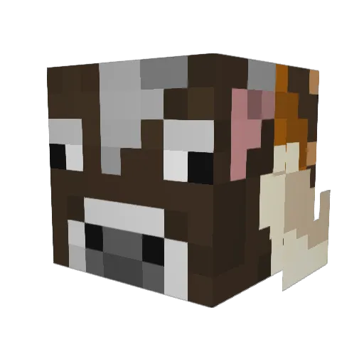 Silas377 Minecraft avatar head, 3D render