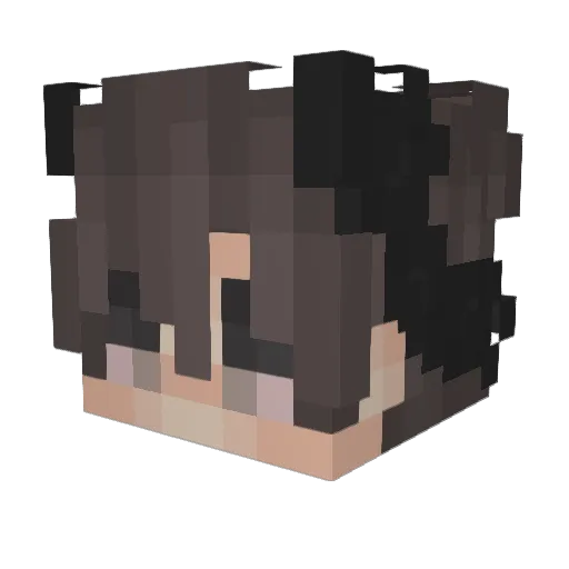 Silas475 Minecraft avatar head, 3D render