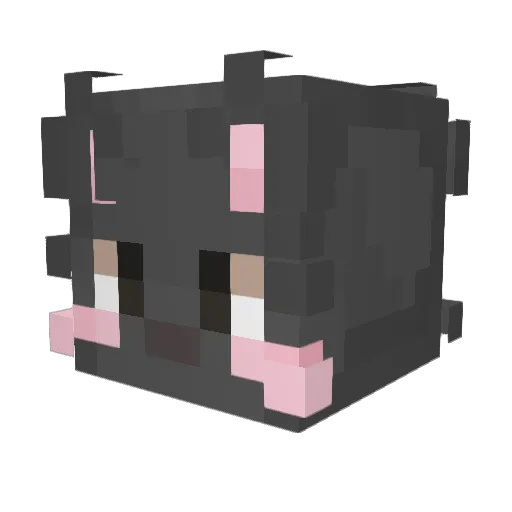SilasTHEkid101 Minecraft avatar head, 3D render