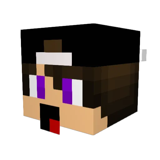 Silasdankleff Minecraft avatar head, 3D render