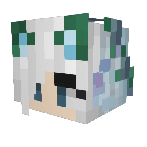 Silberfuchs2000 Minecraft avatar head, 3D render