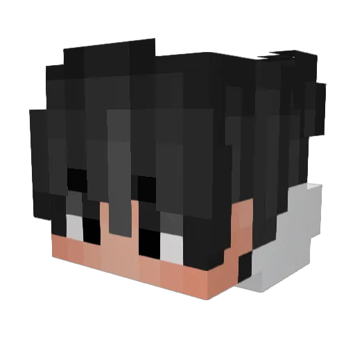 Silberkugel1 Minecraft avatar head, 3D render