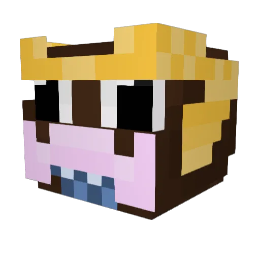 SildInyDms Minecraft avatar head, 3D render