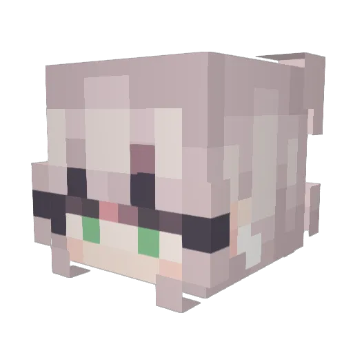Silecio Minecraft avatar head, 3D render