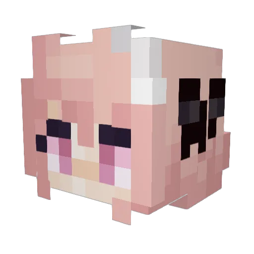 Sileetz Minecraft avatar head, 3D render