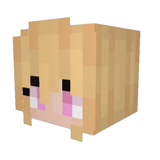 SilenceInTheory Minecraft avatar head, 3D render