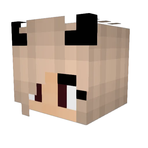 Silence_scream Minecraft avatar head, 3D render
