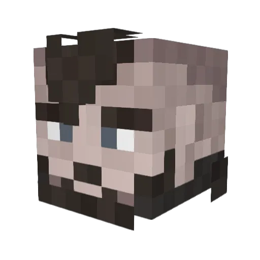 Silencer225 Minecraft avatar head, 3D render
