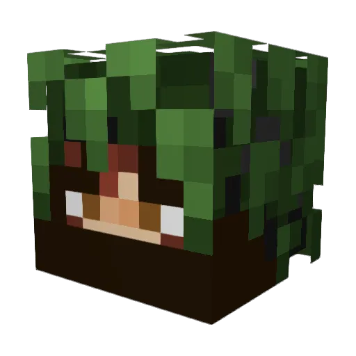 Silencio921 Minecraft avatar head, 3D render
