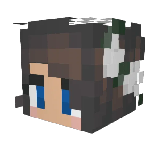 Silencya Minecraft avatar head, 3D render