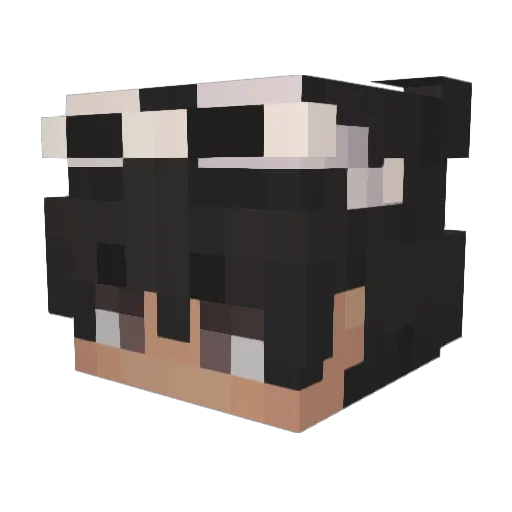 SilentBlade5 Minecraft avatar head, 3D render