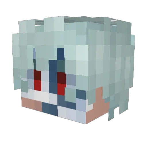SilentDottore Minecraft avatar head, 3D render