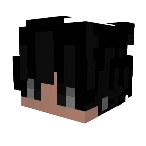 SilentDulli Minecraft avatar head, 3D render